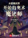从霍格沃茨开始的奥术魔法师